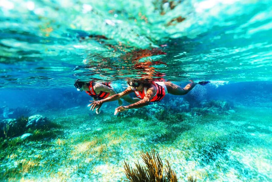 Puerto Morelos: Snorkel, Town Walk, Tequila & Beach Lunch - Who will enjoy this Puerto Morelos outing?