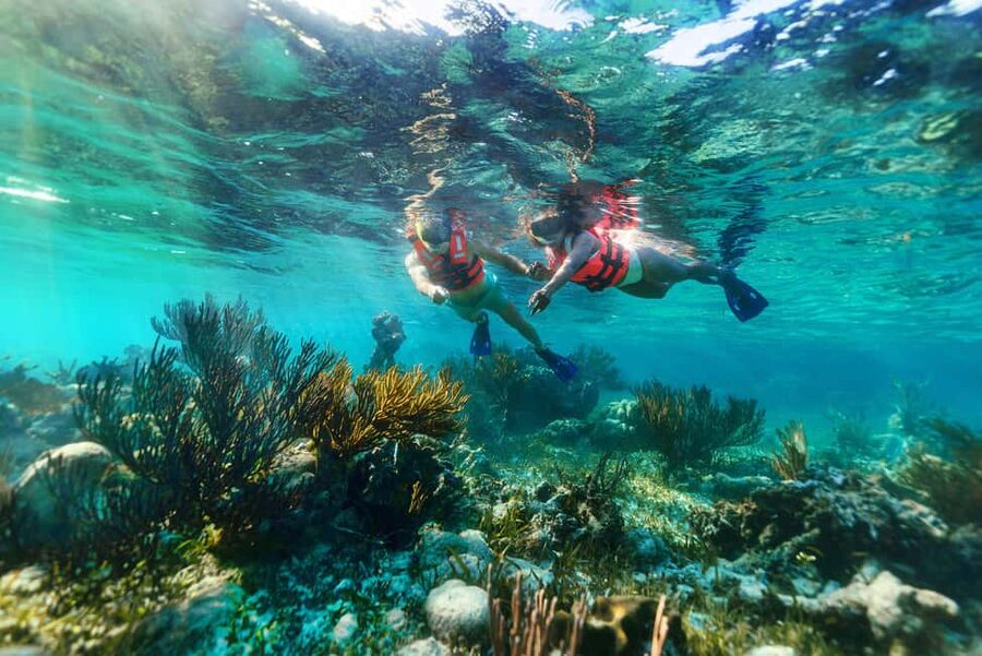 Puerto Morelos: Snorkel, Town Walk, Tequila & Beach Lunch - Should you book it?
