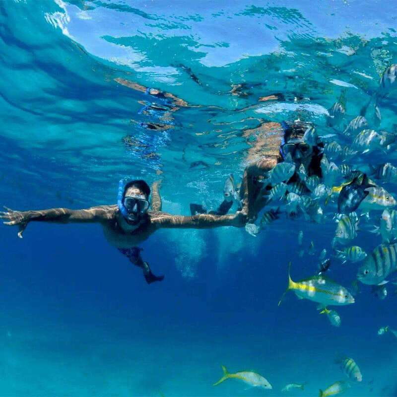 Puerto Morelos: Snorkeling at The National Reef Park - Key points before you book