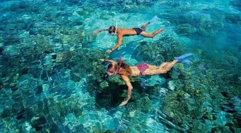 Puerto Morelos: Snorkeling at The National Reef Park - Is $37 a fair price?
