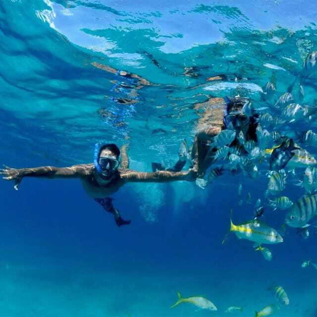 Puerto Morelos: Snorkeling at The National Reef Park - Who will enjoy this reef trip most