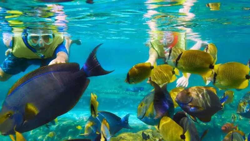 Puerto Morelos: Snorkeling at The National Reef Park - Practical ways to prepare