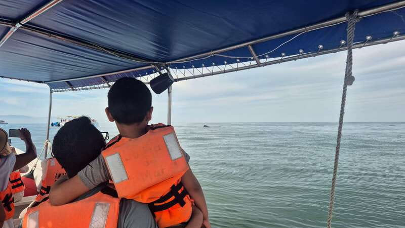 Puerto Vallarta: 3-Hour Whale Watching and Snorkeling - Gardens, nurseries, and local flavor
