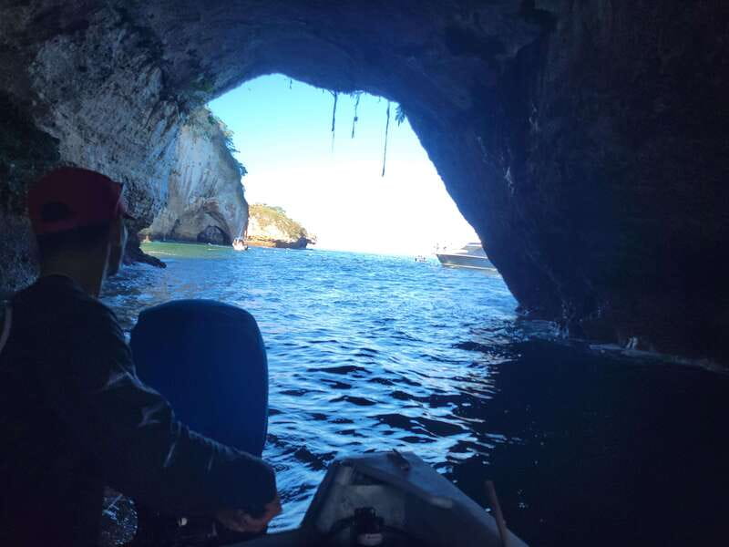 Puerto Vallarta: 3-Hour Whale Watching and Snorkeling - Is $45 a fair price?