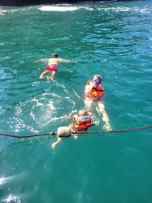 Puerto Vallarta: 3-Hour Whale Watching and Snorkeling - Searching Puerto Vallarta’s bay for humpback whales