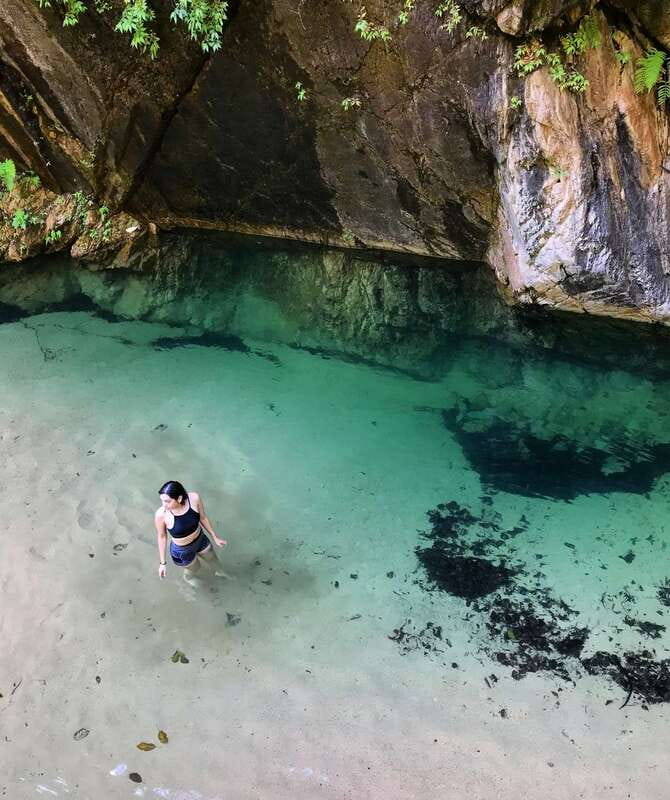 Puerto Vallarta: 4-Hour Jungle Hike and Waterfall Swim - From Puerto Vallarta streets to the tropical forest