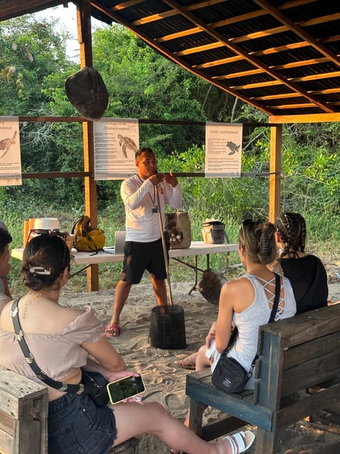 Puerto Vallarta: Baby Turtle Release in Conservation Area - Waiting for the hatchlings and watching the bay