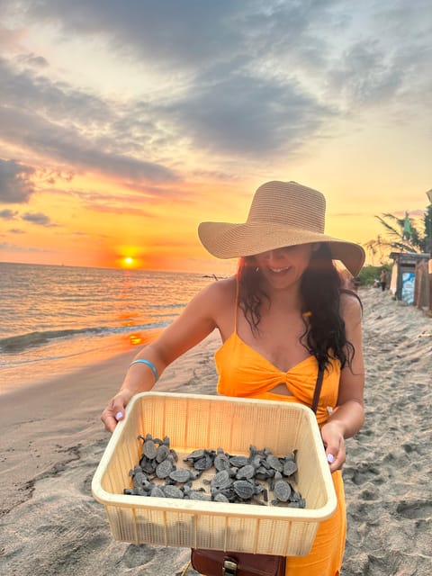 Puerto Vallarta: Baby Turtle Release in Conservation Area - The release: brief, careful, and unforgettable