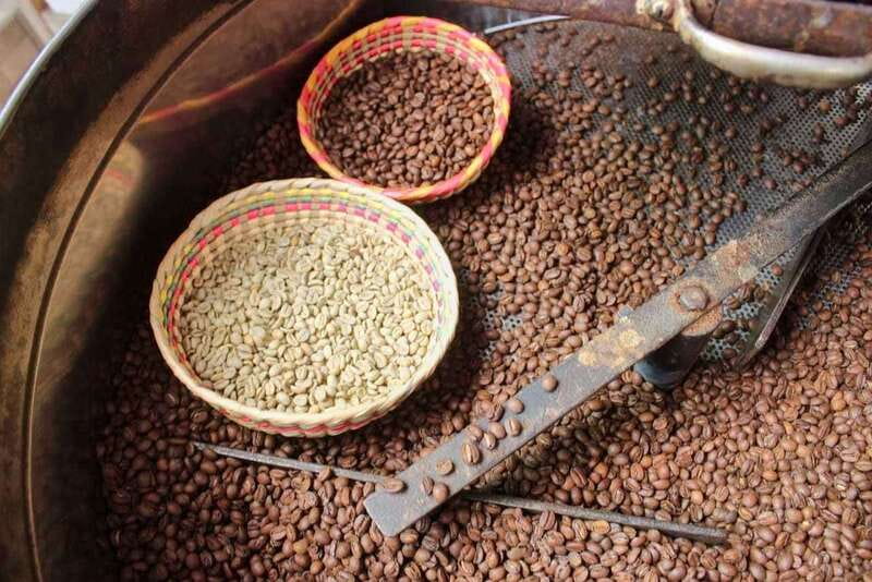 Puerto Vallarta: Botanical Gardens, Distillery & Coffee Tour - Guides who add meaning to the garden visit