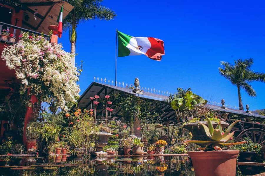 Puerto Vallarta: Botanical Gardens, Distillery & Coffee Tour - Transport, timing, and physical demands