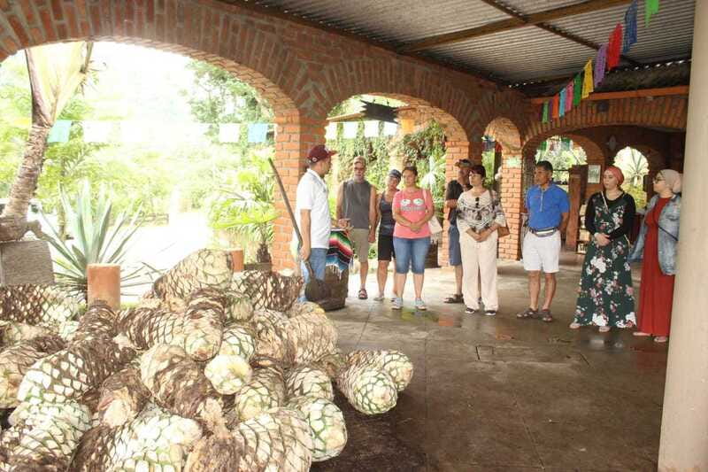 Puerto Vallarta: City Tour, Tequila and Coffee Factory Tour - Riding into the Jalisco mountains