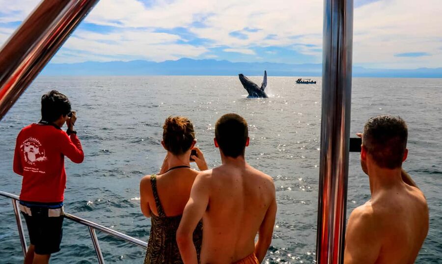 Puerto Vallarta: Mega Yacht Whale Watching Sunset Cruise - A mega yacht with room to spread out
