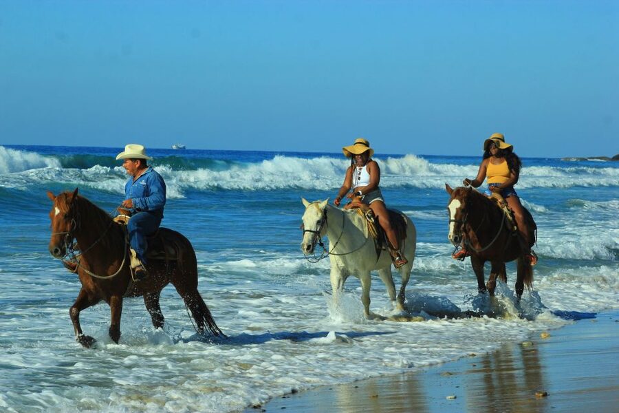 Punta de Mita/Sayulita: Horseback Riding Tour - Who will enjoy this horseback tour