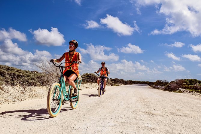 Punta Sur Eco Beach Park Electric Bike Tour in Cozumel - The lagoon and crocodile area