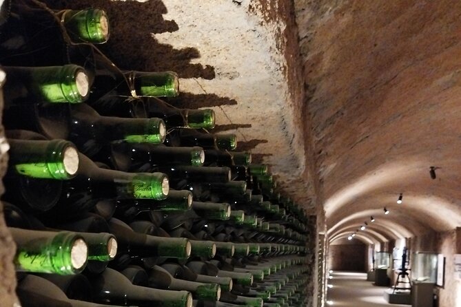 Quiero mas vino, valle de Guadalupe Tours - Bodegas Magoni Starts the Tasting Trail