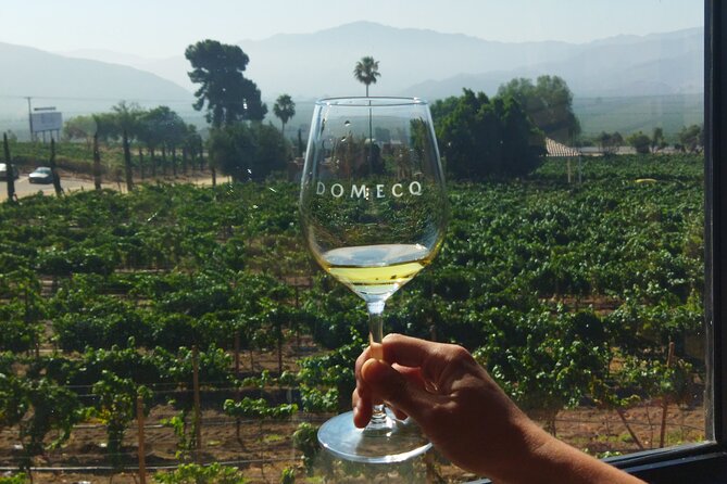 Quiero mas vino, valle de Guadalupe Tours - Casta de Vinos Takes You Underground