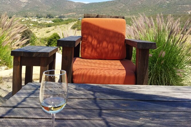Quiero mas vino, valle de Guadalupe Tours - Timing, Pickup, and Practical Details