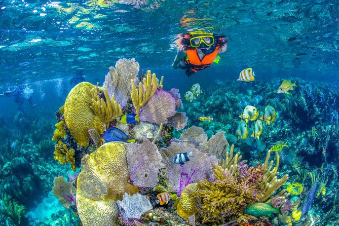 Reef Snorkel In National Park In Puerto Morelos With Lunch And Transportation - Reaching Puerto Morelos National Reef Park by boat
