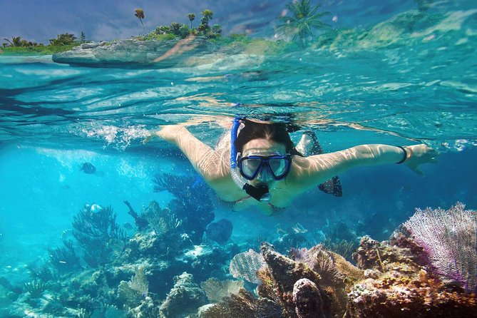 Reef Snorkel In National Park In Puerto Morelos With Lunch And Transportation - Tacos, water, and the Puerto Morelos stop