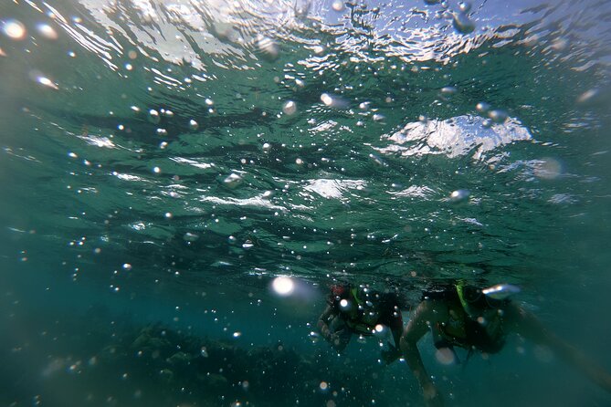 Reef Snorkel In National Park In Puerto Morelos With Lunch And Transportation - Timing, hotel transfers, and the five-hour promise