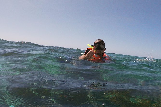 Reef Snorkel In National Park In Puerto Morelos With Lunch And Transportation - Is $44.25 good value?