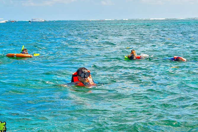 Reef Snorkeling in National Park from Cancun with Beachside Lunch - What the $44 price really buys