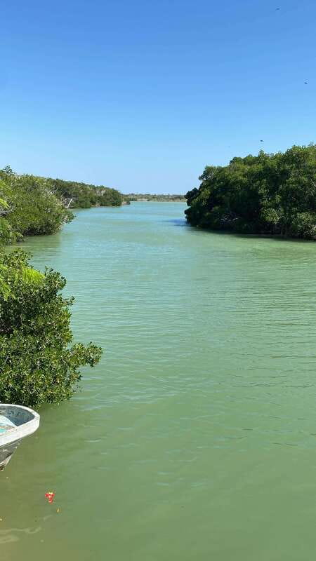 Rio Lagartos and Las Coloradas: Safari Flamingo Luxury - Key points to know before you book