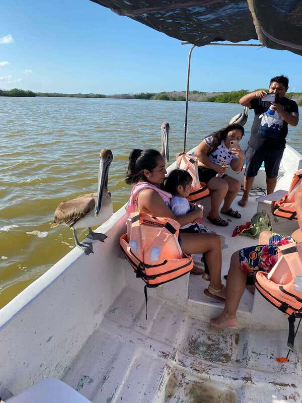 Rio Lagartos and Las Coloradas: Safari Flamingo Luxury - What the 2,300 MXN group price really includes