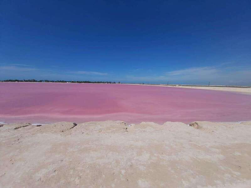 Rio Lagartos and Las Coloradas: Safari Flamingo Luxury - Why the birding is the heart of the trip