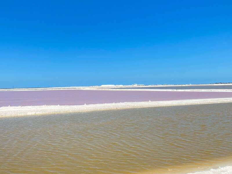 Río Lagartos and Las Coloradas: Wildlife Natural Experience - Who should book this Río Lagartos tour?