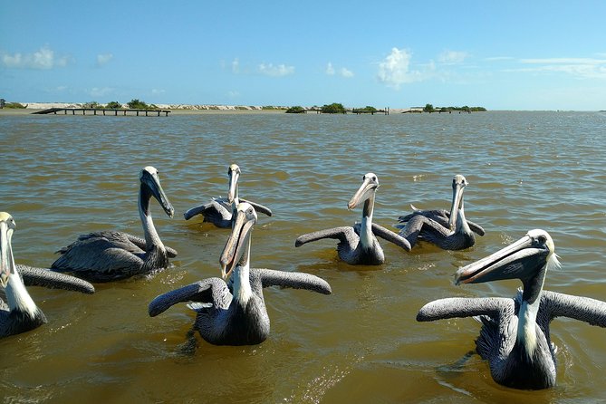 Rio Lagartos guided boat tour- Ek Balam from Valladolid - The long day and the small-group advantage
