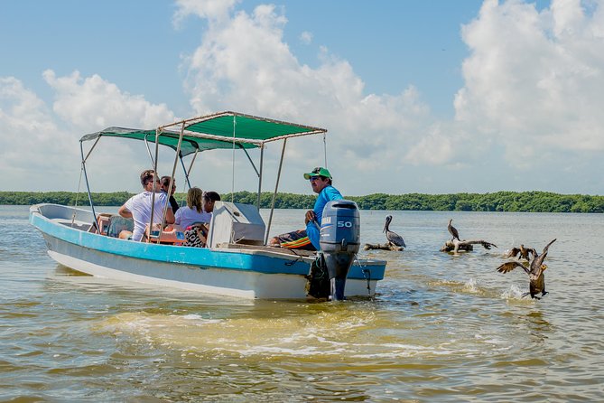 Rio Lagartos guided boat tour- Ek Balam from Valladolid - Who should book this day trip?