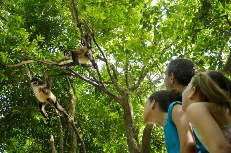 Riviera Maya: Croco Cun Interactive Zoo Tour - What the Croco Cun Zoo visit is really like