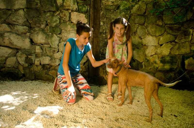 Riviera Maya: Croco Cun Interactive Zoo Tour - Photos, feeding, and what you actually get for $44