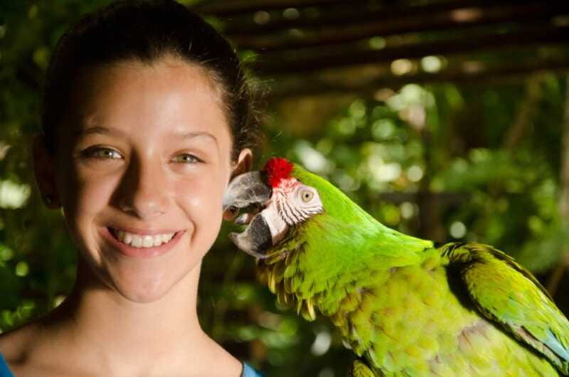 Riviera Maya: Croco Cun Interactive Zoo Tour - Timing, access, and simple planning tips