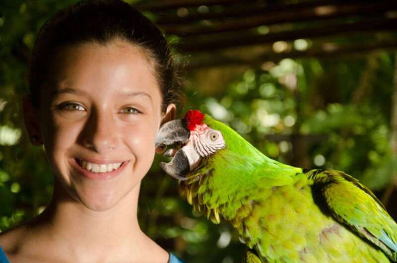 Riviera Maya: Croco Cun Interactive Zoo Tour - Meeting crocodiles, snakes, turtles, and other wildlife