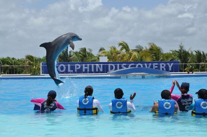 Riviera Maya: Dolphin Encounter with Beach Club Access - Key points to know before booking