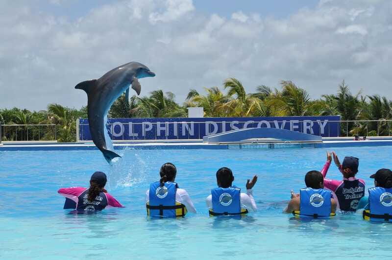 Riviera Maya: Dolphin Encounter with Beach Club Access - Is $109 a fair price?