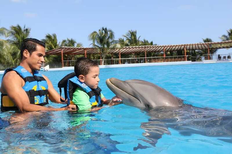 Riviera Maya: Dolphin Encounter with Beach Club Access - Family suitability and height rules