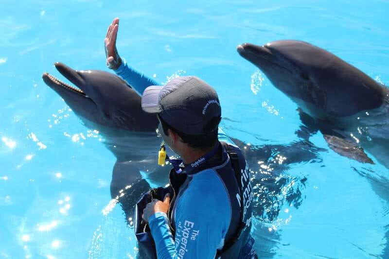 Riviera Maya: Dolphin Encounter with Beach Club Access - What to bring and what stays behind