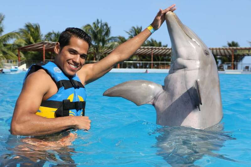 Riviera Maya: Dolphin Encounter with Beach Club Access - The animal welfare question you should consider