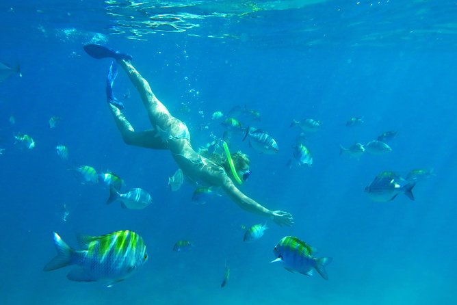 Riviera Maya Luxury Snorkeling Cruise with Lunch and Drinks - Lunch and the open bar