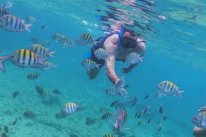Riviera Maya Luxury Snorkeling Cruise with Lunch and Drinks - Boat size, service, and comfort
