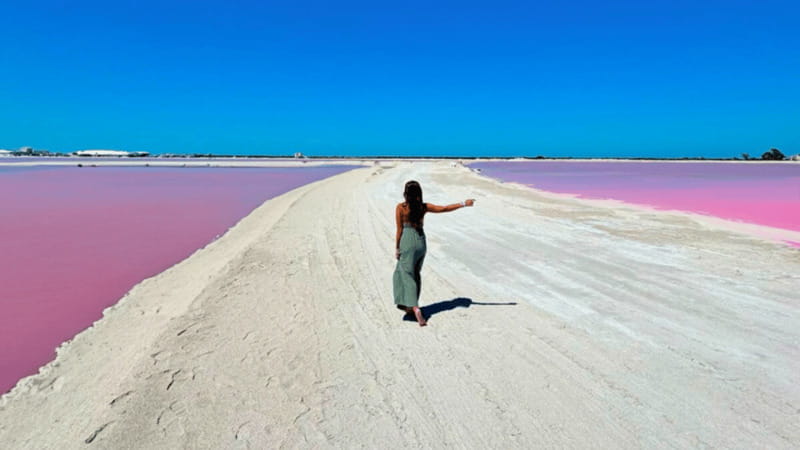 Riviera Maya: Rio Lagartos & Las Coloradas Day Trip w/Lunch - Why Río Lagartos and Las Coloradas Make a Good Pair