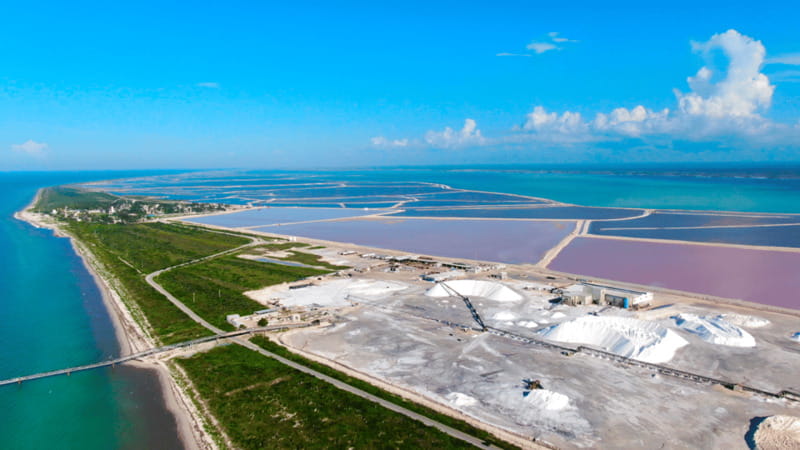 Riviera Maya: Rio Lagartos & Las Coloradas Day Trip w/Lunch - Should You Book the Río Lagartos and Las Coloradas Trip?