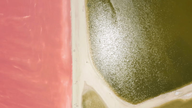 Riviera Maya: Rio Lagartos & Las Coloradas Day Trip w/Lunch - Las Coloradas and the Salt Ponds