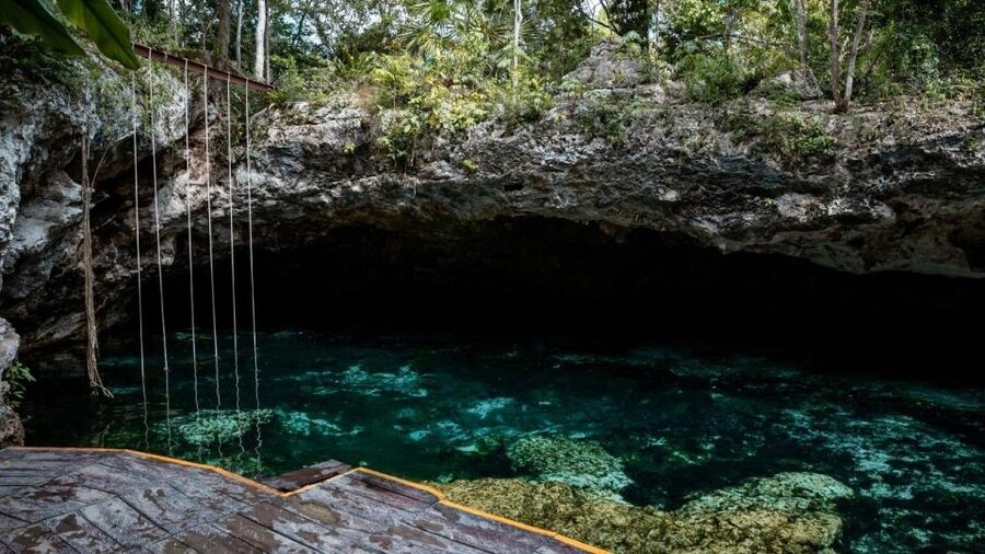 Riviera Maya: Tulum Ruins and 2 Cenotes Half-Day Tour - Transport, pickup, and the real timetable