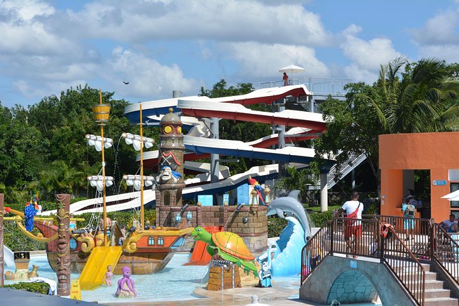 Roots Beach Club® - Snorkeling and protecting Cozumel’s reefs