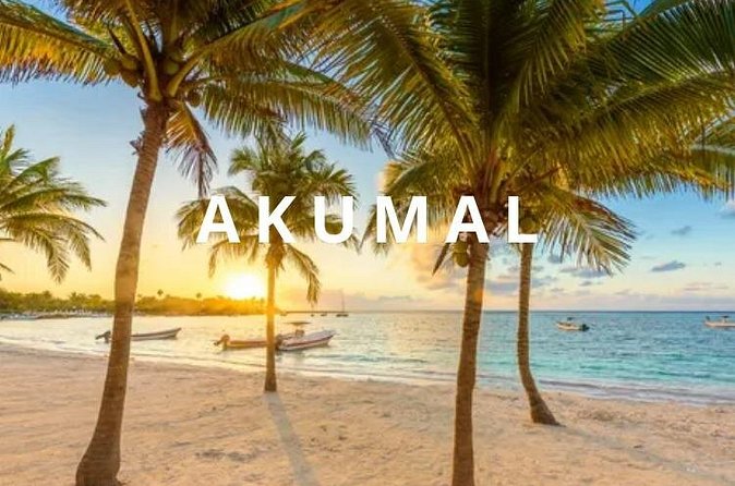 Round private transfer Airport- Akumal - Airport. - Cancellation terms and booking timing