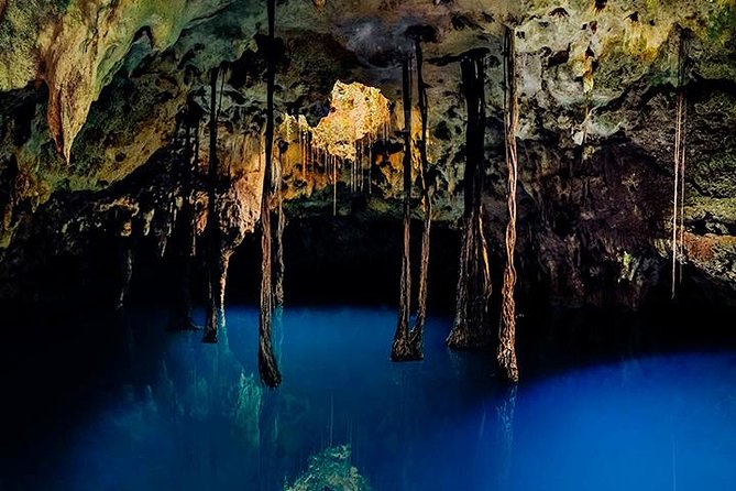 Sacred Adventure at Xenotes! 4 Different Cenotes + Round Transportation - Zip lines and rappelling add real movement